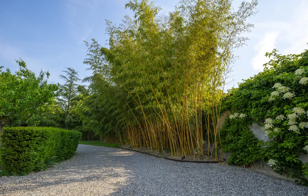 Aménagement paysager complet avec arrosage automatique intelligent et gazon de plaquage à Caluire-et-Cuire (69300)