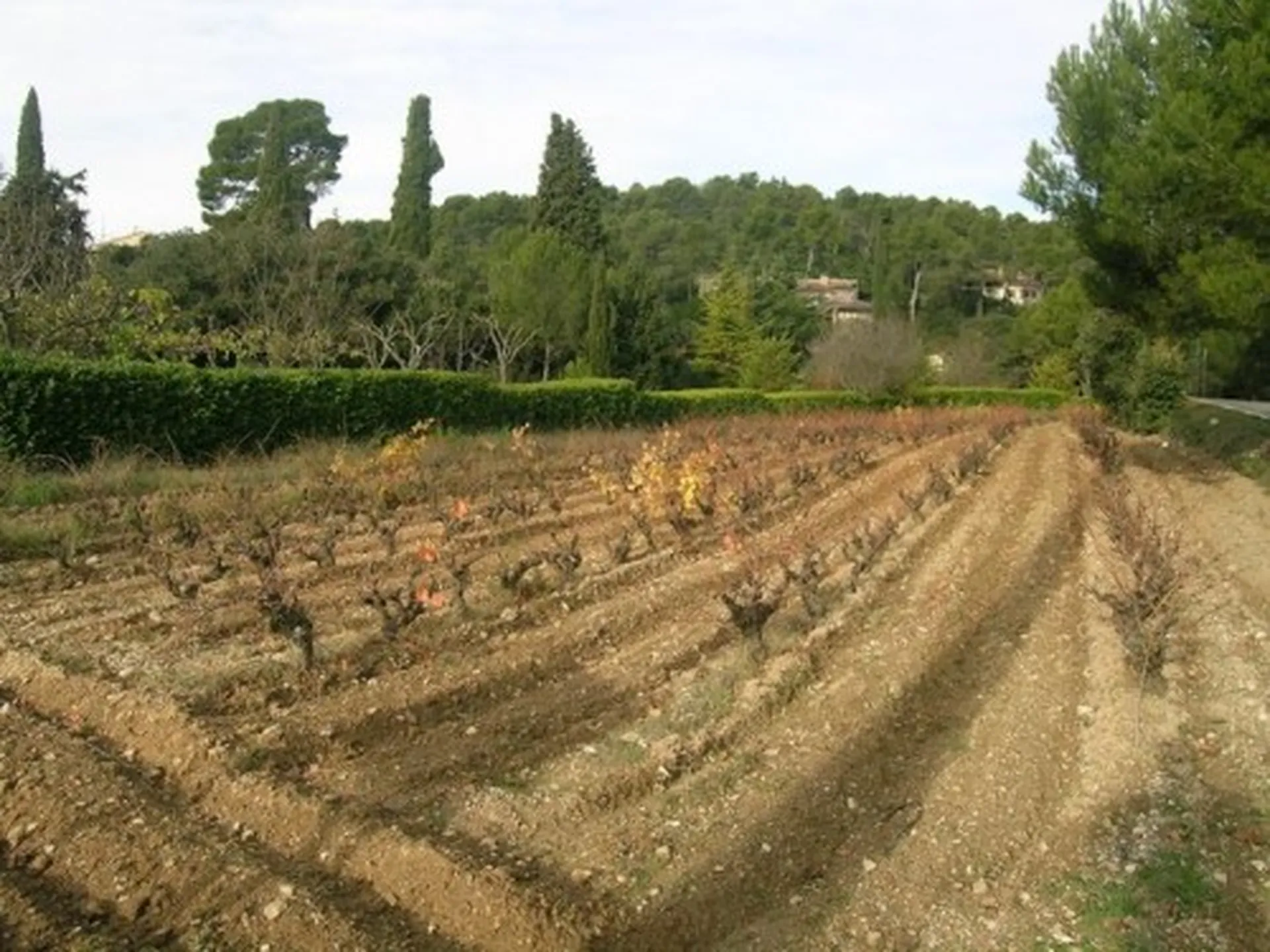 Terrain en vente chez castellas immobilier Roquefort la Bédoule