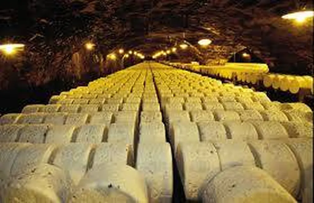 cave roquefort et camping familial