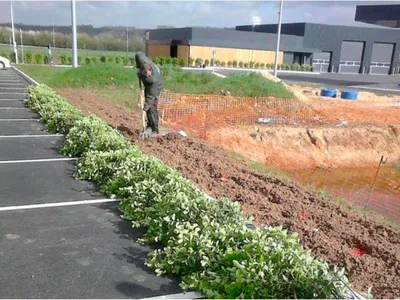 Aménagement et plantations d’espaces verts pour une entreprise à Marolles-sur-Seine