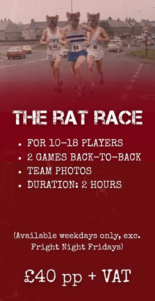 Book a Unique Team Building Experience - The Rat Race Package!