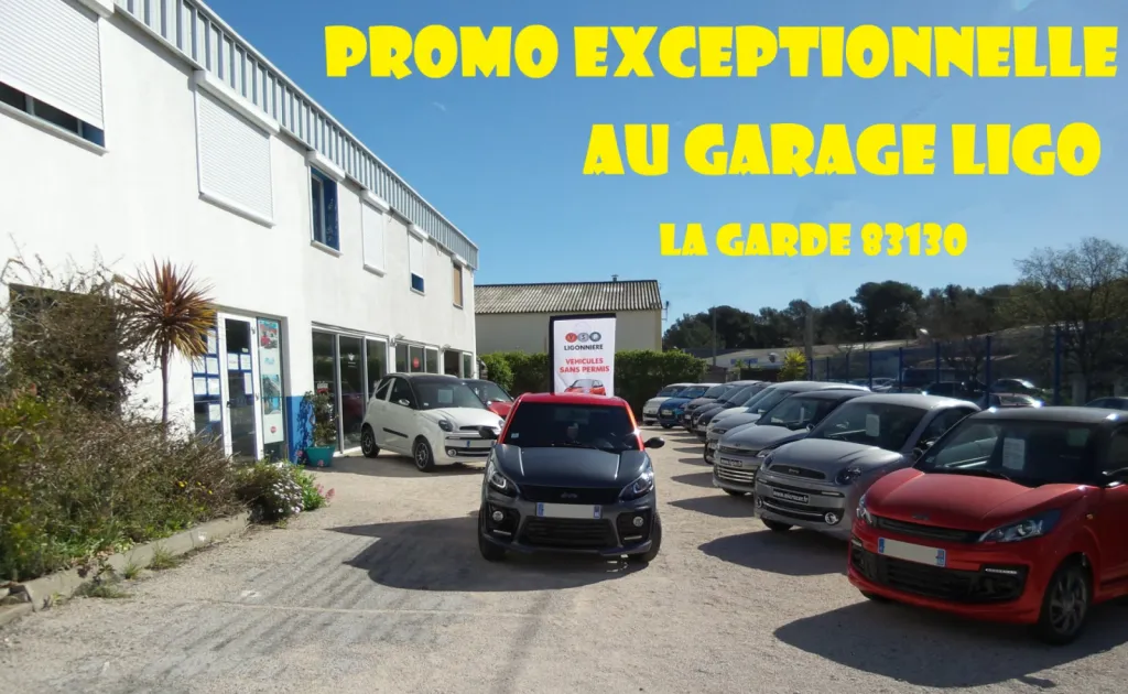 Super Promo Exceptionnelle sur Ligier sans permis 