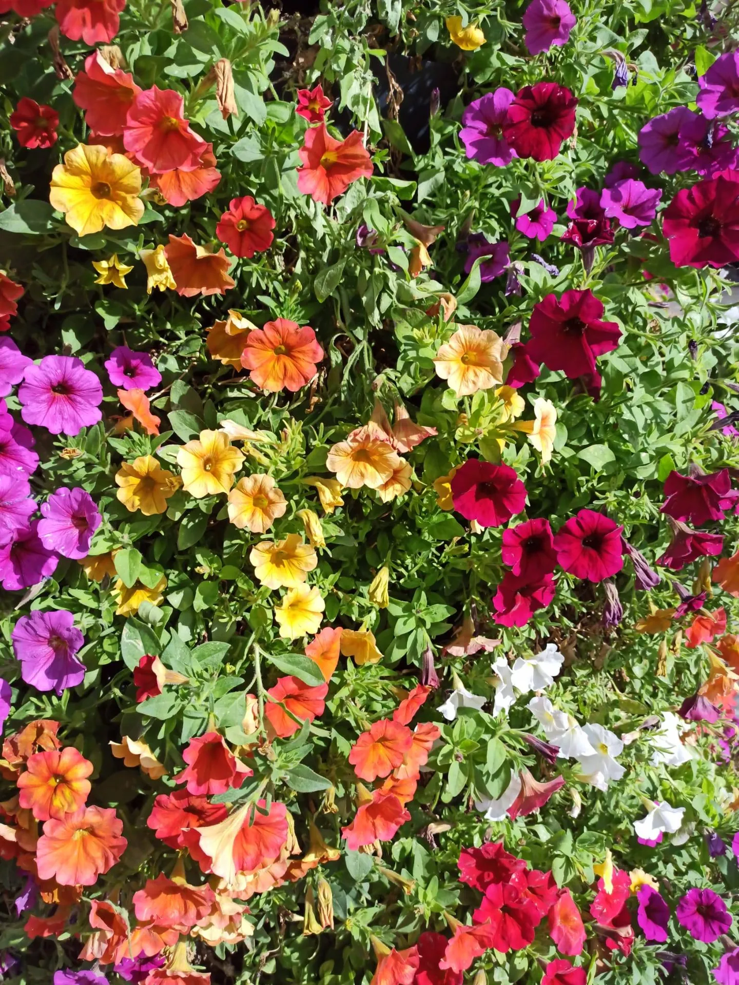 Pourquoi il faut avoir le courage d'être soi?