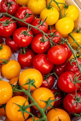 Au panier de Manon - Lamotte du Rhône