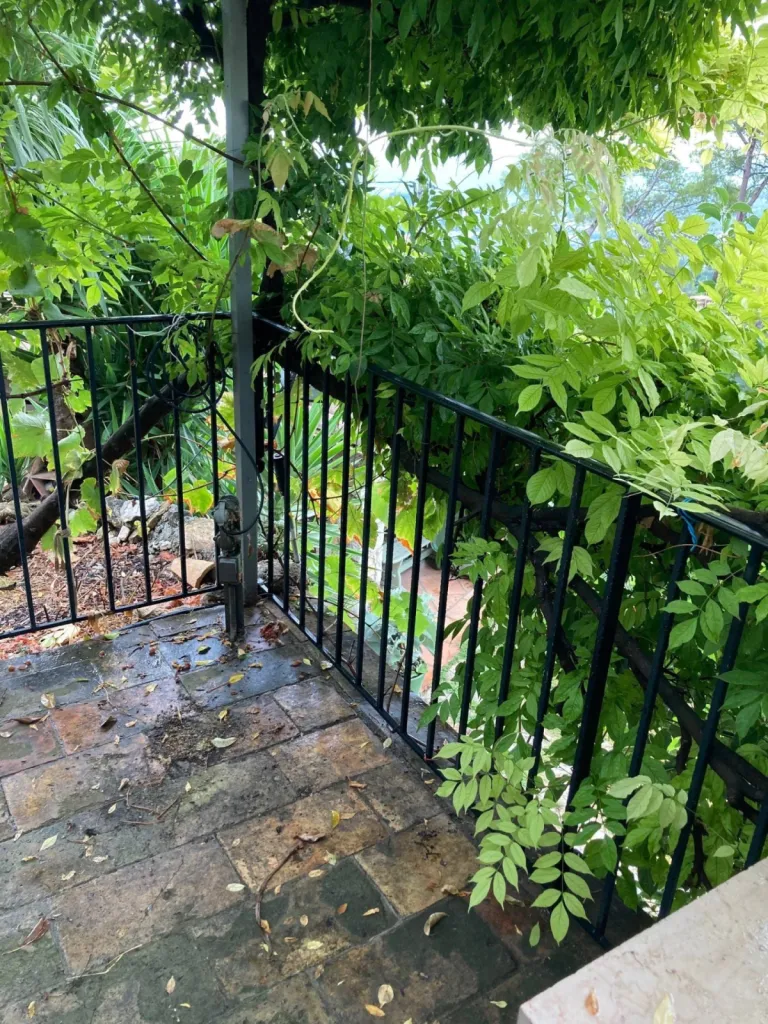 La terrasse avnat d'etre pourvue de la plateforme verticale à Nice