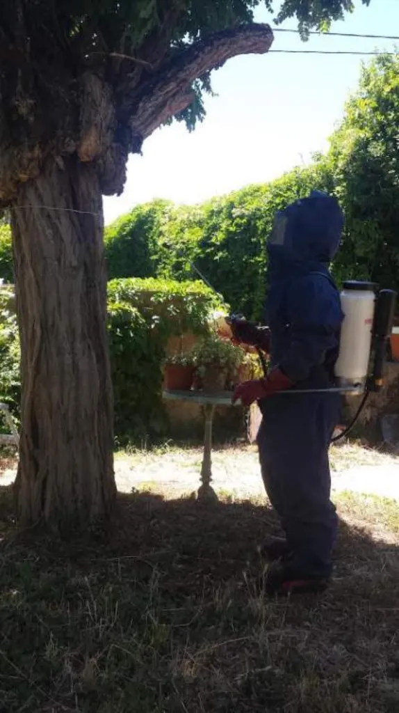 Notre zone d'activité pour ce serviceSociété de dépigeonnage