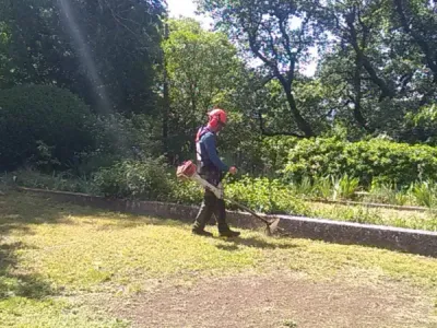 Quel est le travail d’un experts paysagiste dans les Bouches-du-Rhône ? Quel est le travail d’un experts paysagiste dans les Bouches-du-Rhône ?