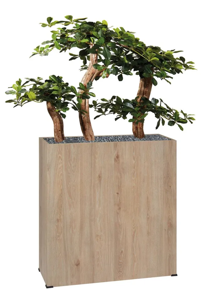 Accessoires de décoration ergonomiques pour espace de coworking