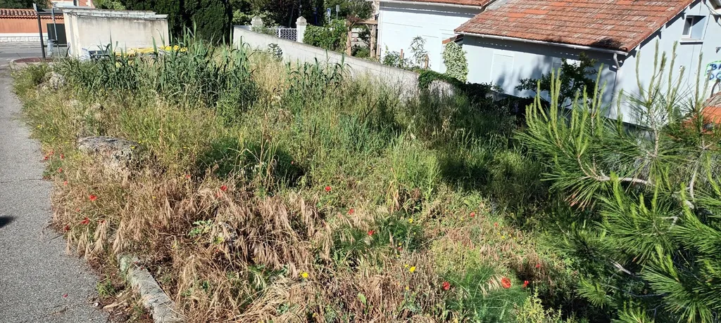 paysagiste pas cher rapide debroussaillage marseille