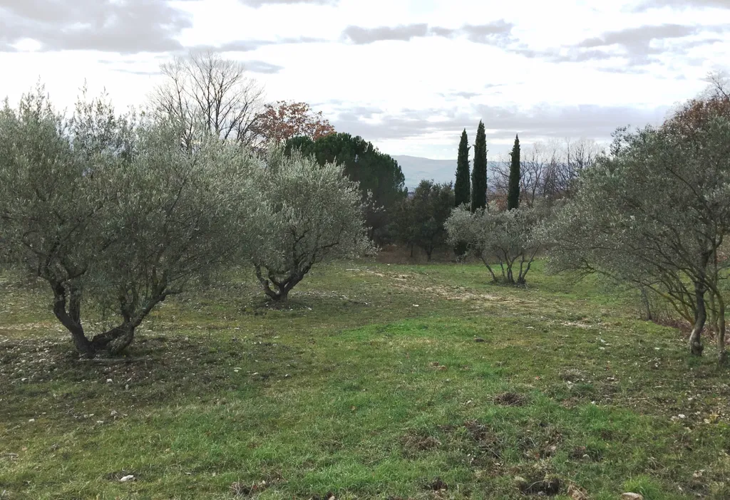 Terrain à bâtir à vendre en Luberon