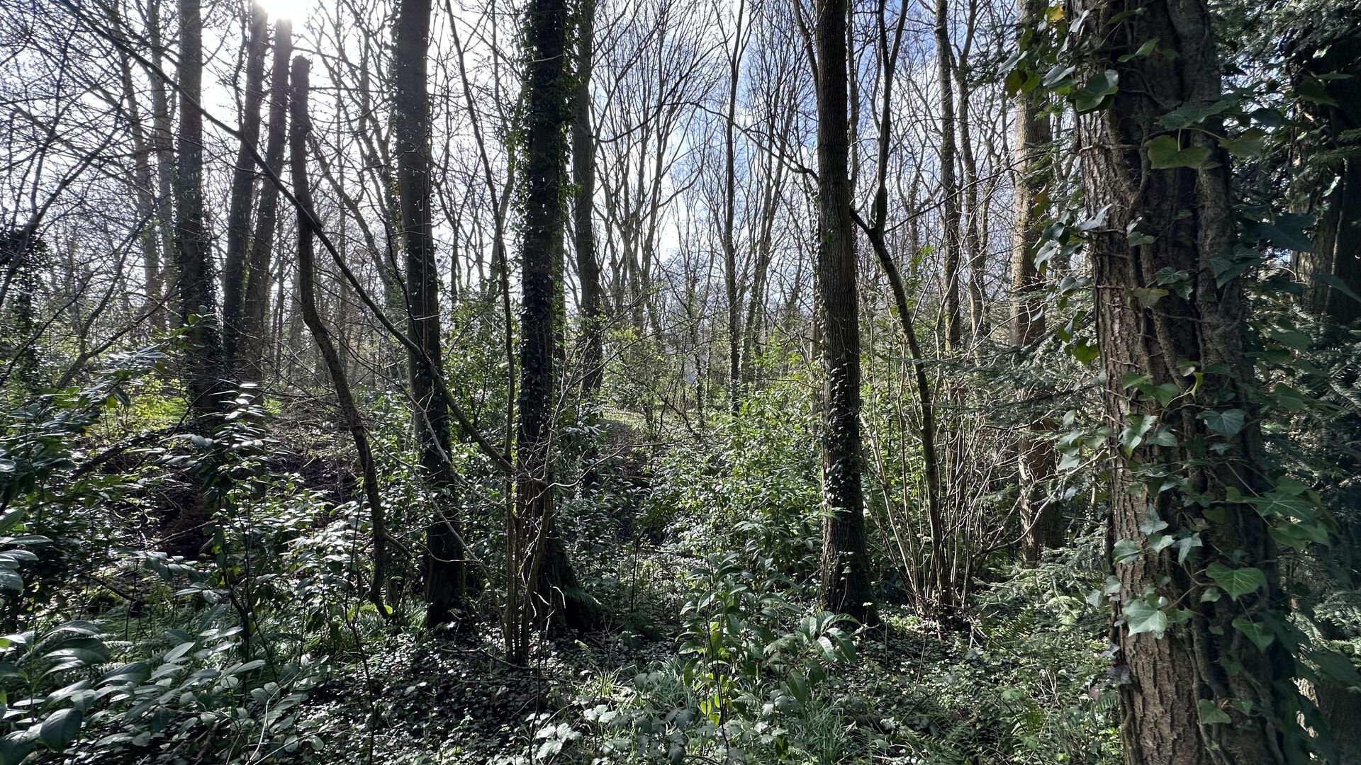 terrain constructible proche Dieppe