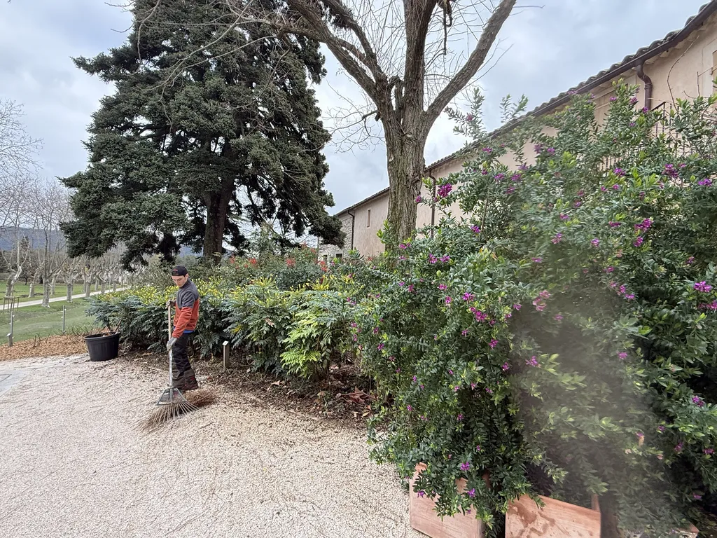 ratissage des allées