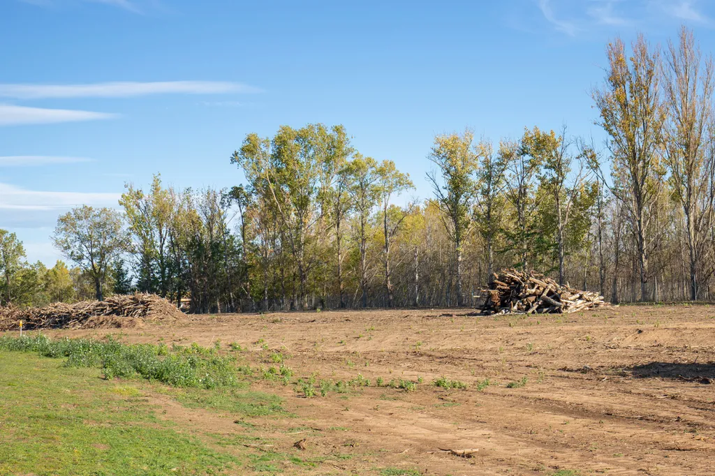  débroussaillage de terrain forestier avant construction ou vente 