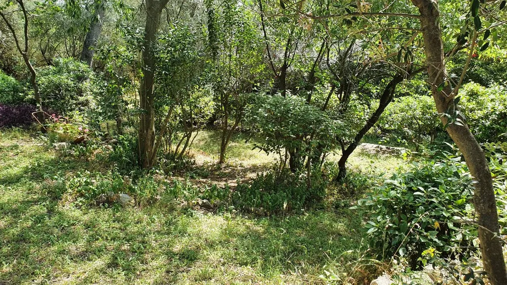 construction d'une maison sur Toulon