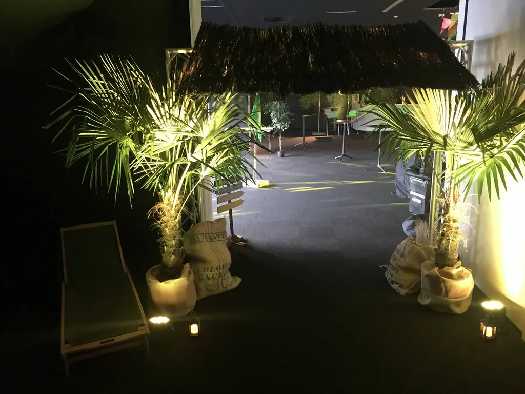 location de palmier au havre