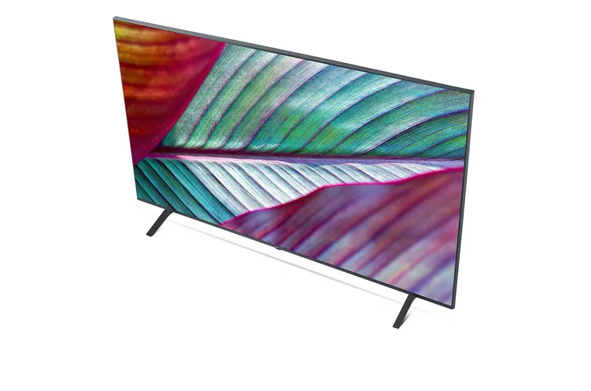 location écran 65 pouces à menton dans les alpes maritimes