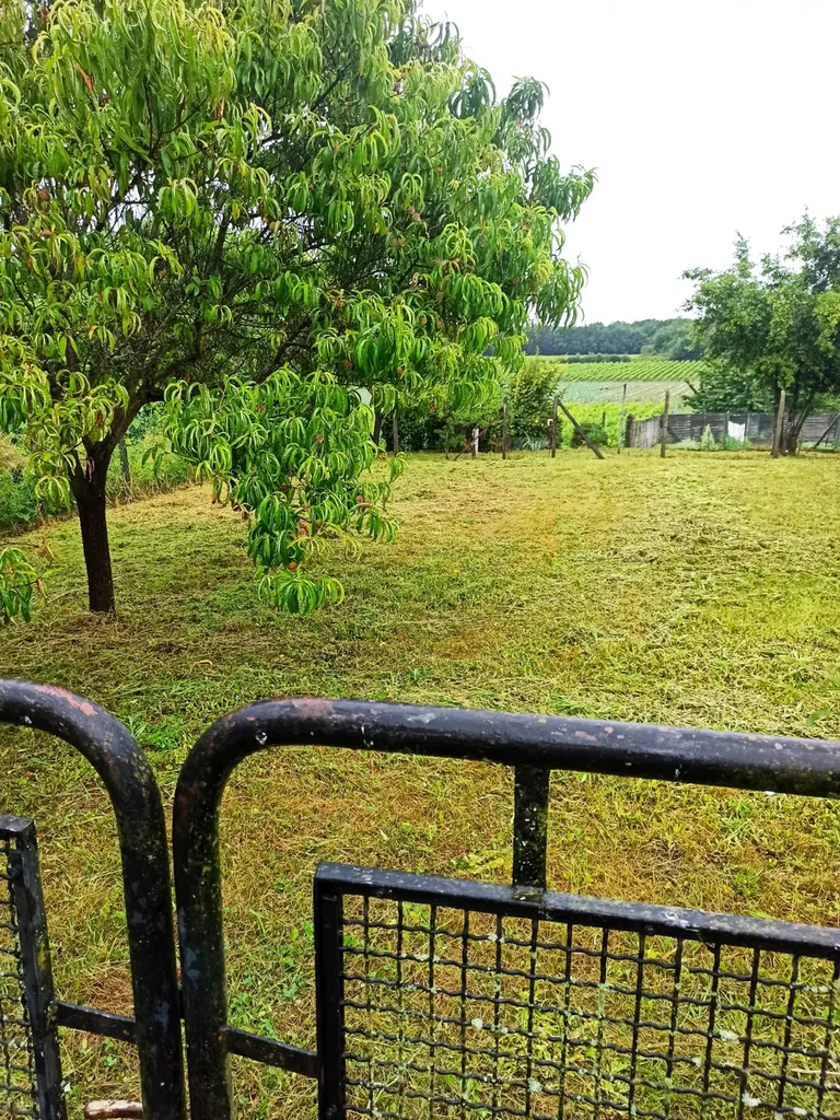Remise en état d'un jardin sur la commune de Lalande de Fronsac en Gironde proche saint André de cubzac