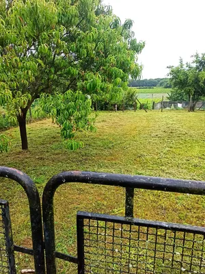 Remise en état d'un jardin sur la commune de Lalande de Fronsac en Gironde proche saint André de cubzac