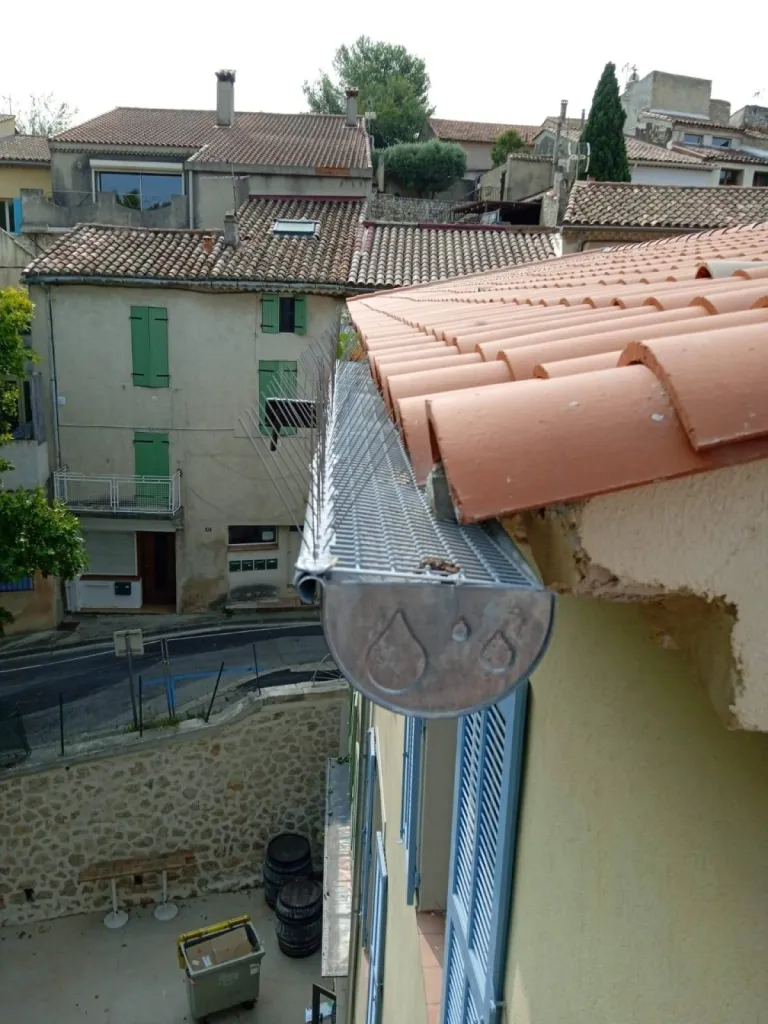 anti pigeon pour gouttière