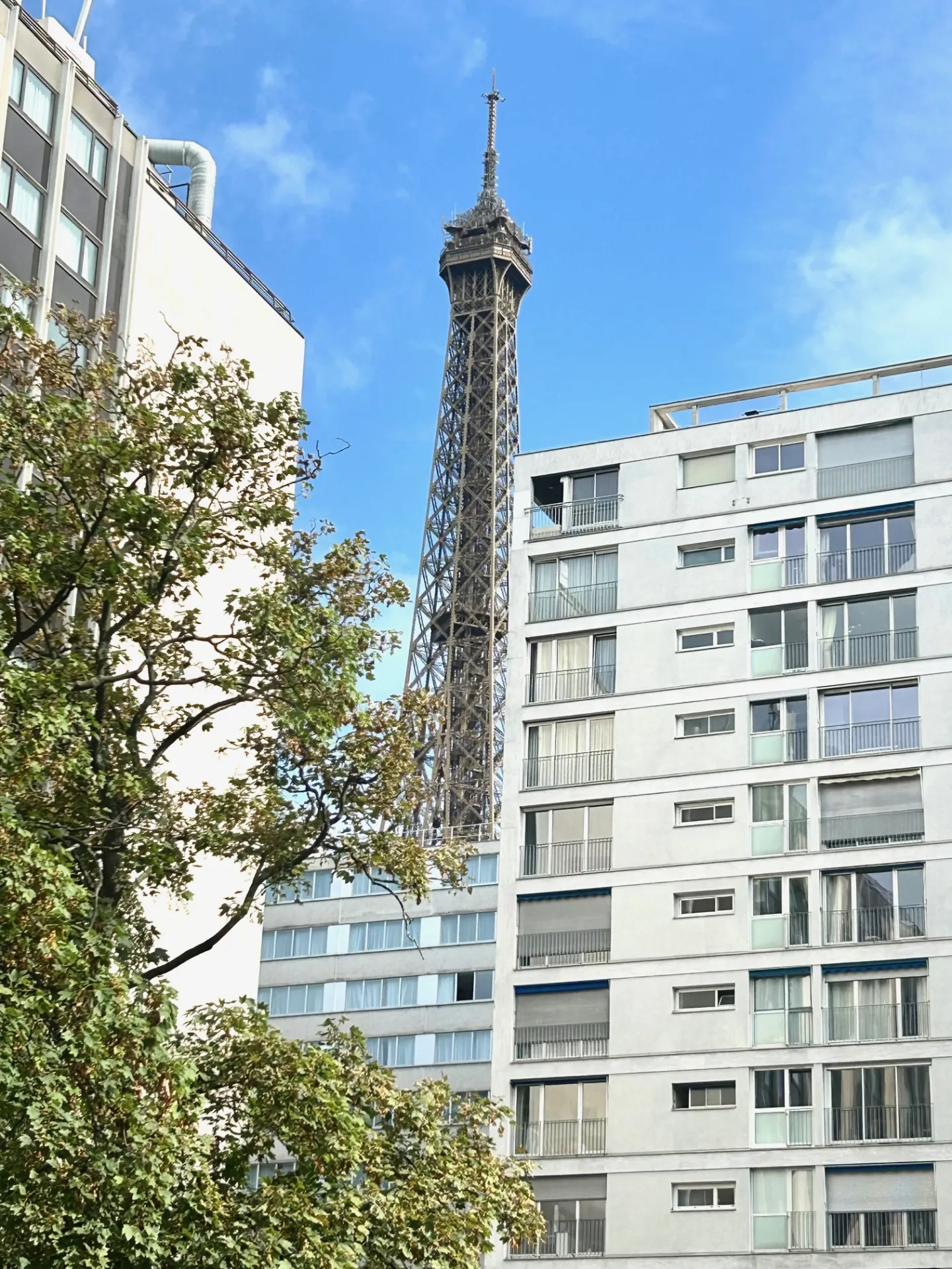 Appartement T3 en rez-de-chaussée (habitation ou professionnel) - Paris 15eme
