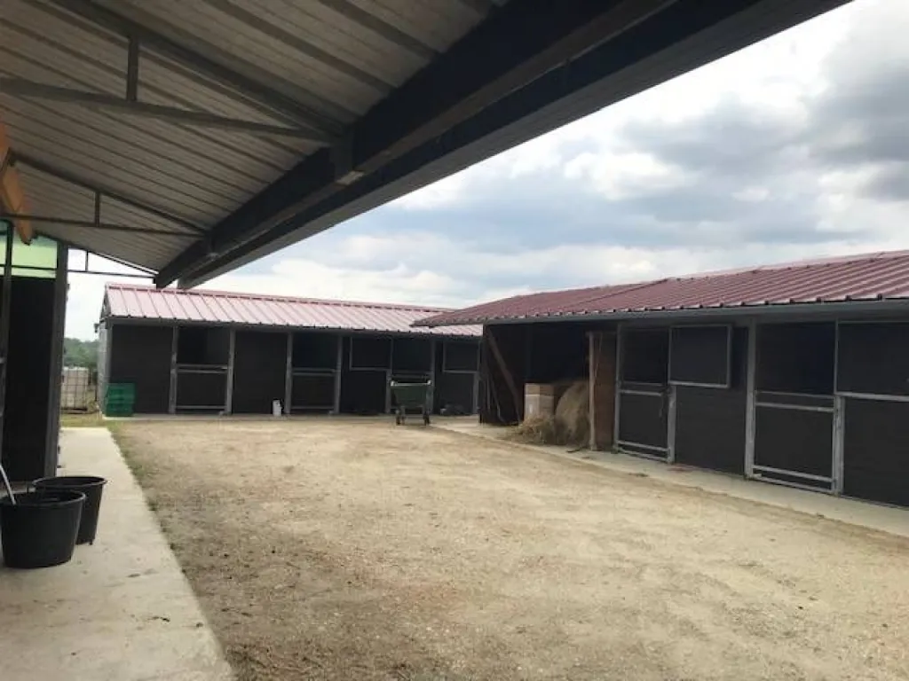 pension chevaux pré / box à bordeaux