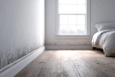 Diagnostic humidité maison à Libourne, Bordeaux et dans toute la Gironde: la science au service de votre confort