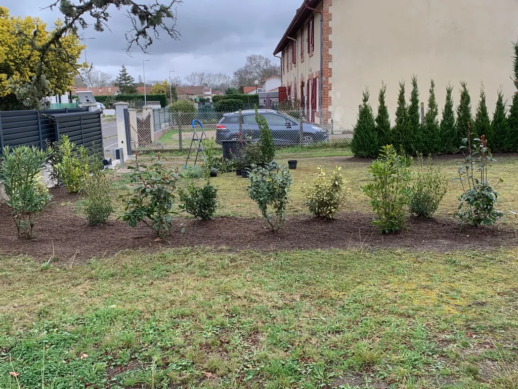 Trouver un paysagiste pour la plantation d'arbustes à Mimizan