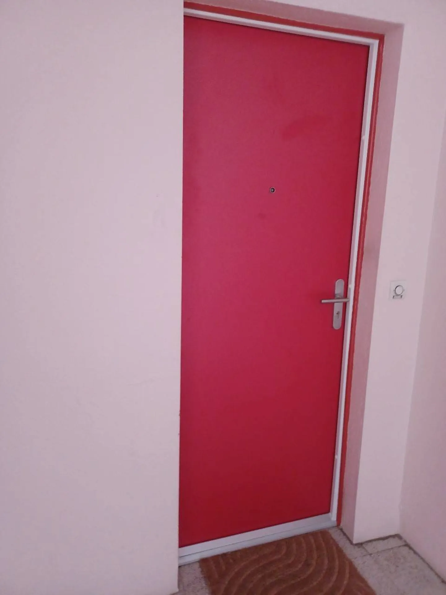 Porte palière blindée sur mesure, coupe feu 30 min à Toulouse  - Réalisation par Eco Fenêtres 31140