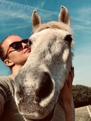 avis communication animale avec son poney à brindas