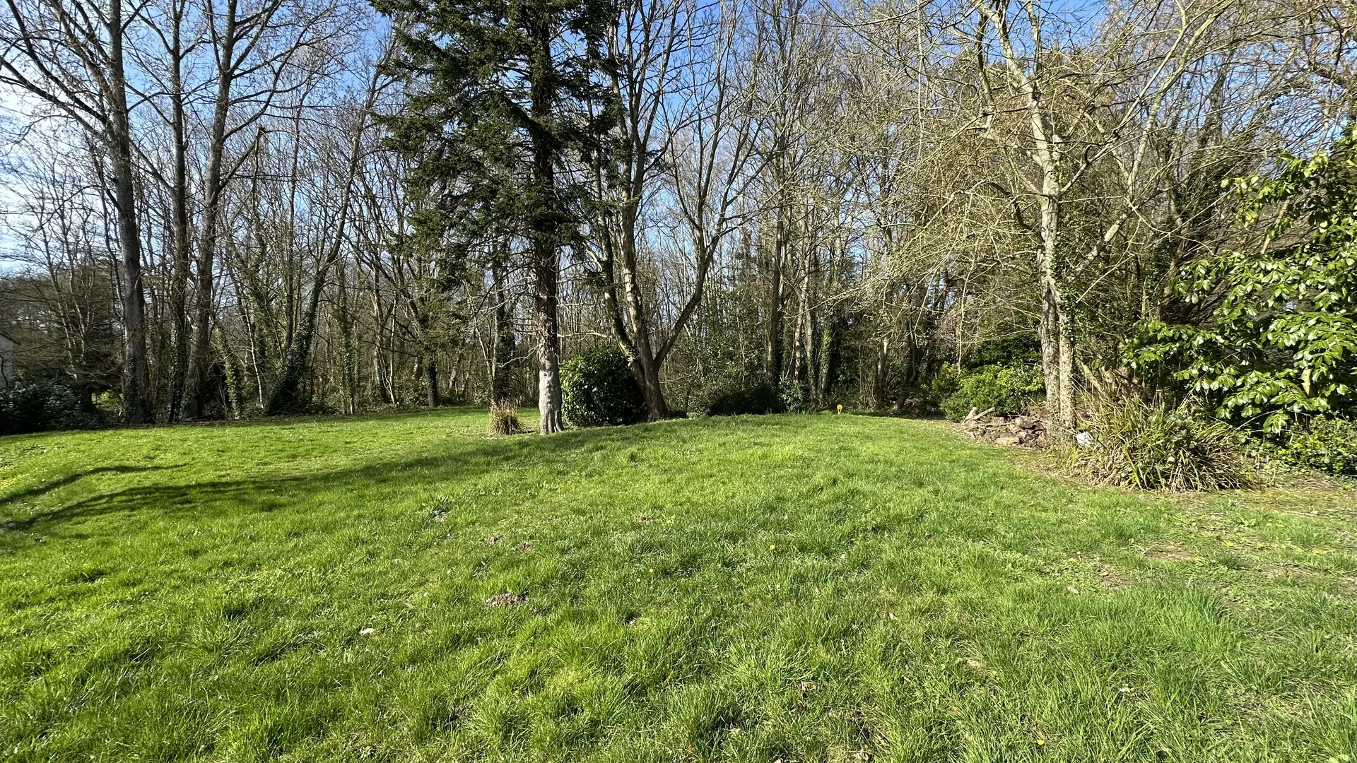 terrain constructible Varengeville sur mer