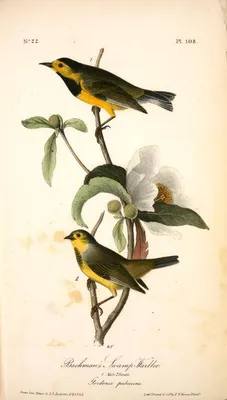 Trouver un psy dans le Val d'Oise