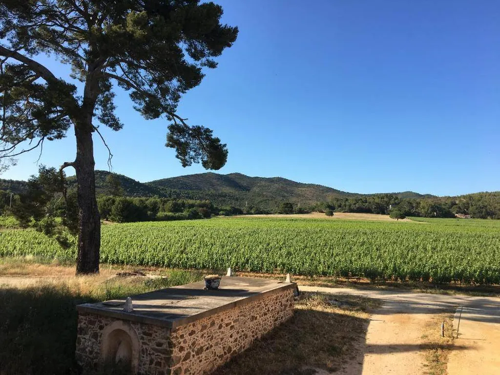 Les matériaux de TERRE DU MONDE ont été choisis pour le projet de rénovation du CHATEAU DES ANGLADES