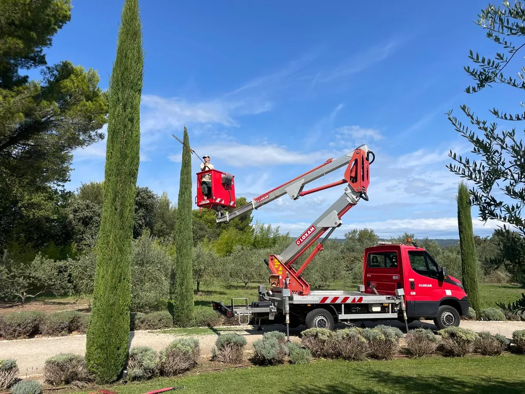 Taille de cyprès a la nacelle dans le Luberon