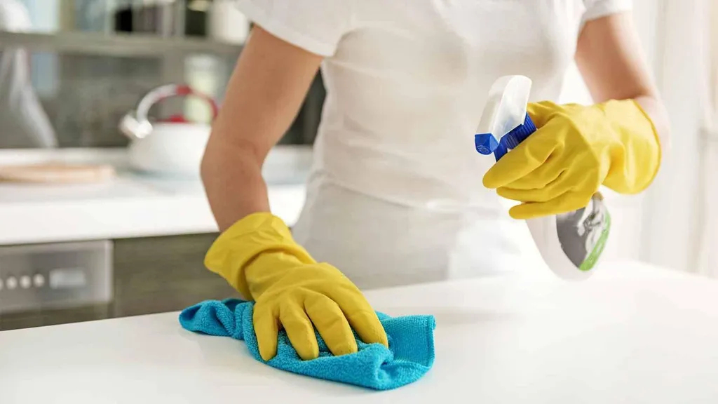 Devis Gratuit en 48h00 | Entreprise de Nettoyage |