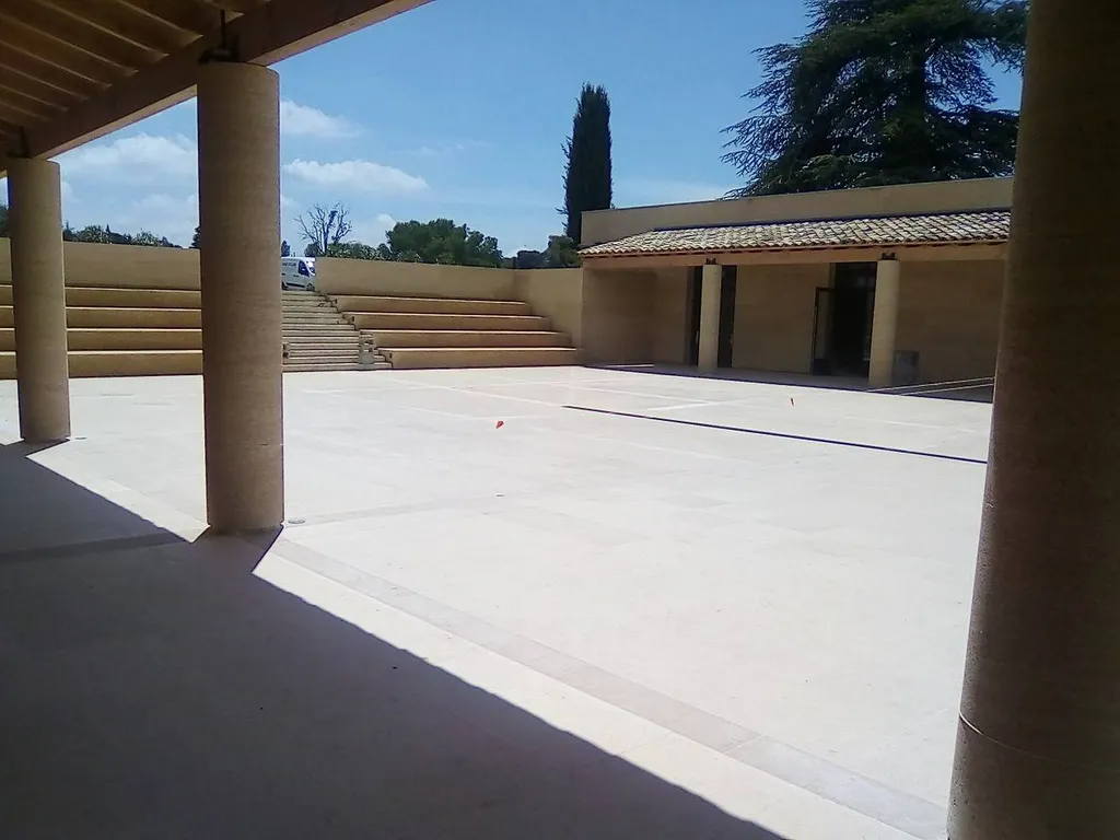 DALLAGES EXTERIEURS EN PIERRE NATURELLE MOLEANOS