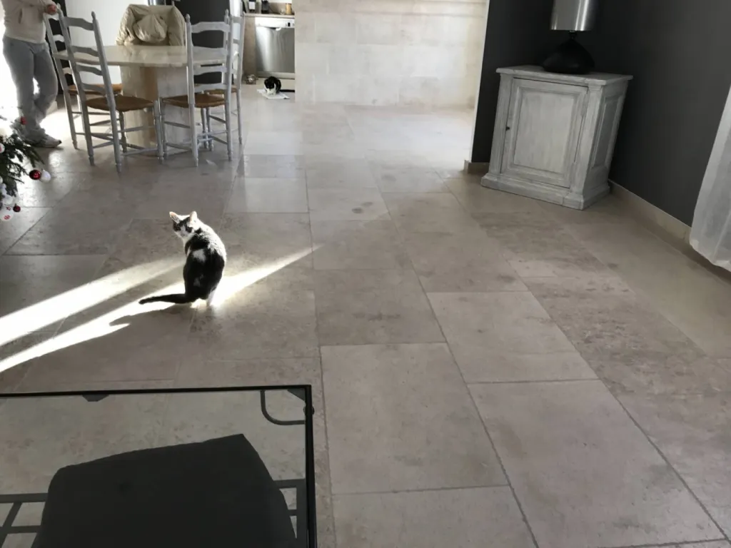 Dallage en pierre naturelle de France