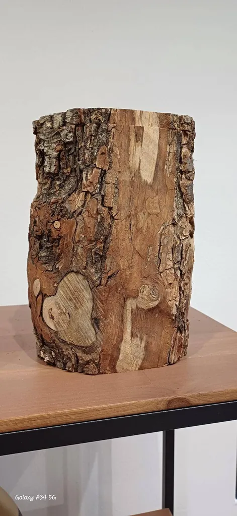 crémation ou à l’inhumation urne naturelle et biologique à Haguenau 