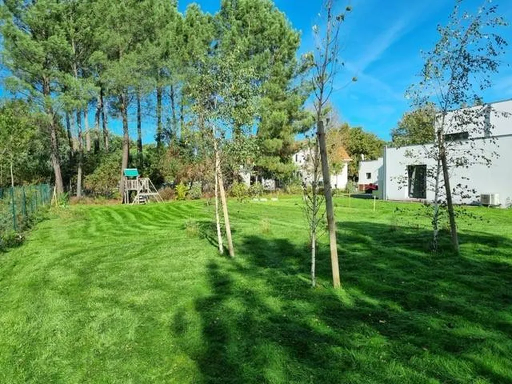 Scarification de gazon pour un espace vert situé près de Biscarrosse