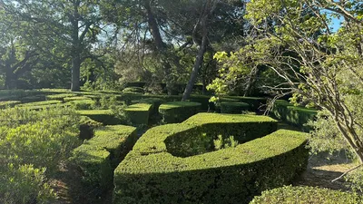 Taille de buis centenaire par les experts de Carré Vert au Château de Roquemartine, à Eyguières 13430, pour préserver la beauté et la santé de ce patrimoine végétal
