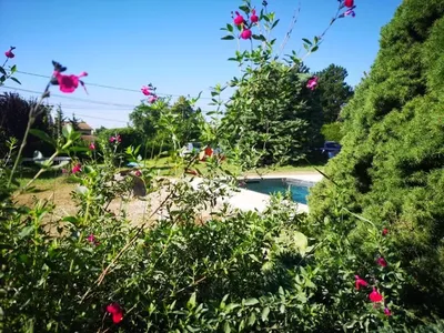 Conception d'une mini piscine en inox sans permis de construire de 2x4m à Grézieu la Varenne dans l'Ouest Lyonnais