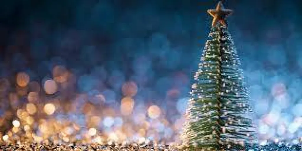 FÊTE DE FIN D'ANNÉE