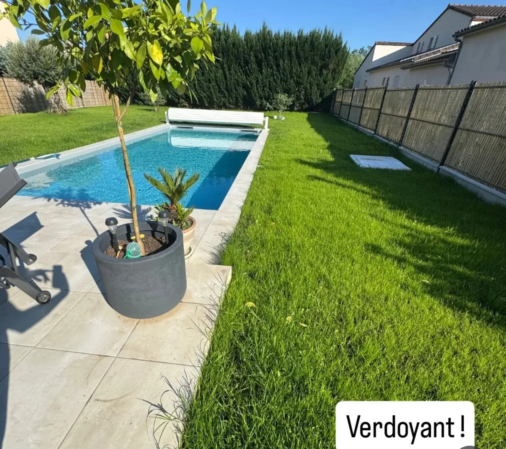 Pose de gazon naturel en rouleaux ou semé