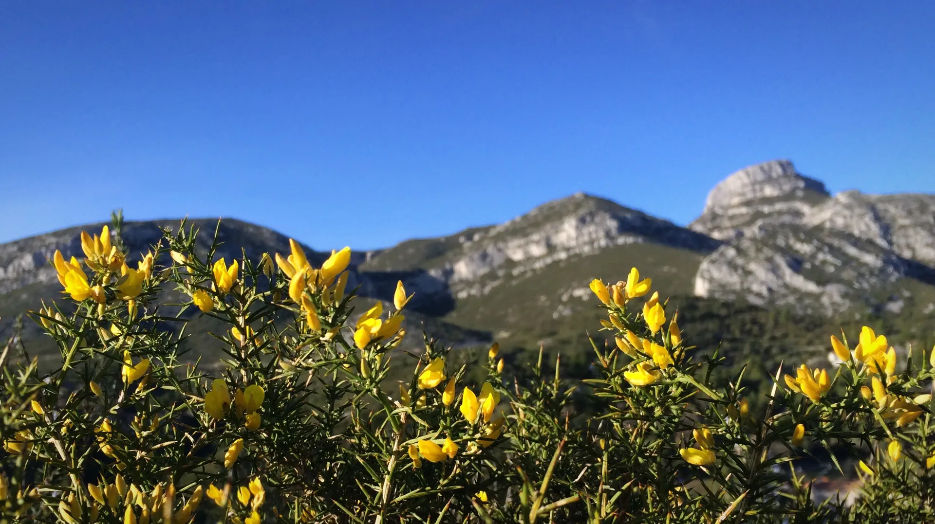 Contactez Castellas Immobilier : nos agences à votre écoute à Cassis, Carnoux, Roquefort-la-Bédoule et La Ciotat