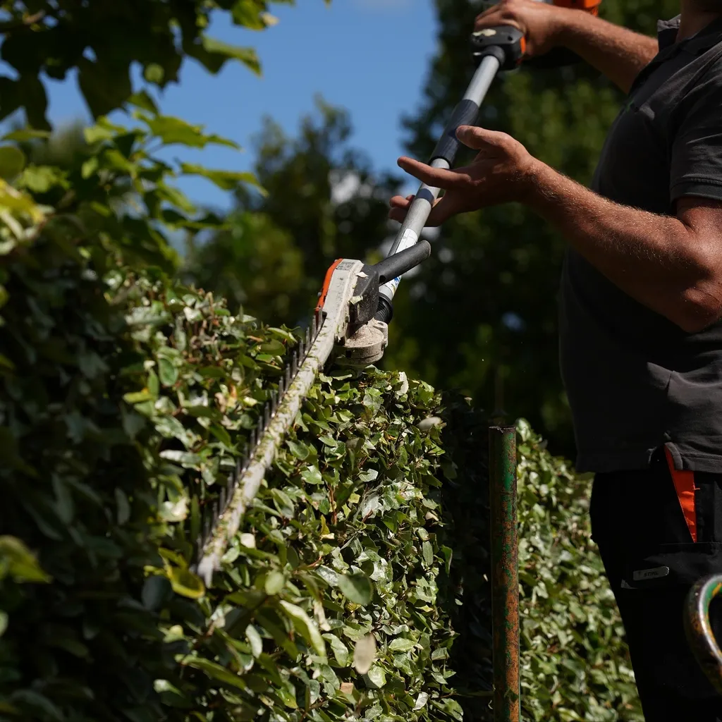 Novembre, une période stratégique pour sécuriser vos arbres
