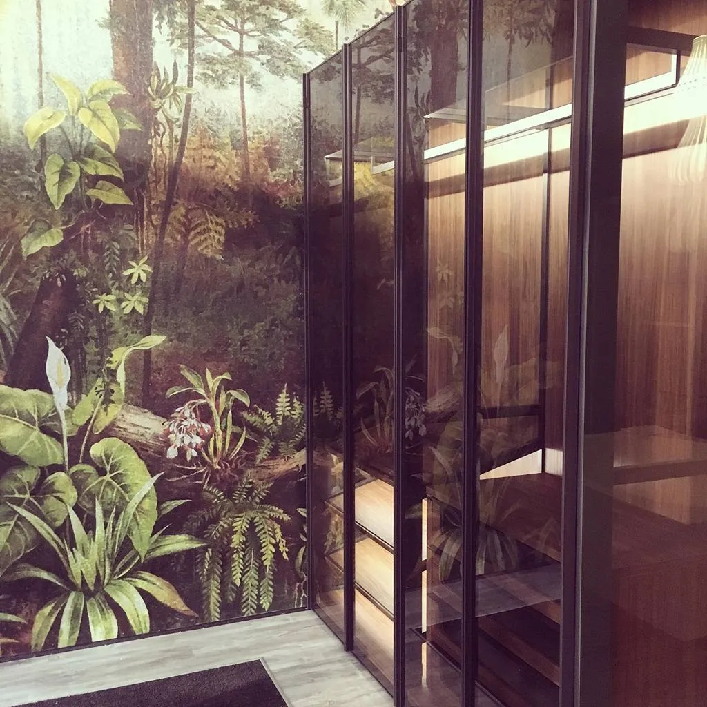 dressing porte verre fumé lyon 6