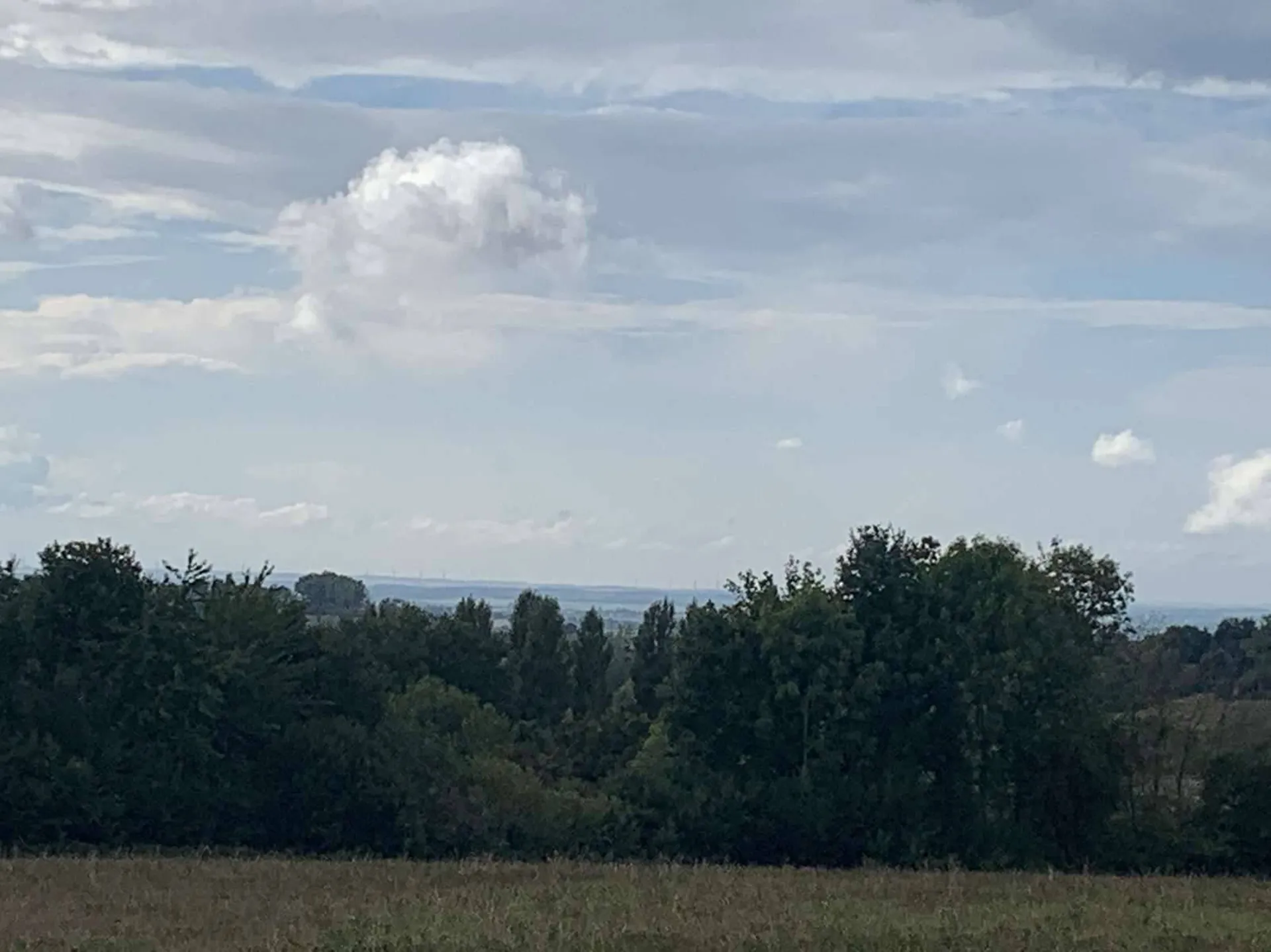 SUD PAYS D'AUGE CALVADOS  A VENDRE TERRAIN AGRICOLE DE 4 HA 70 A