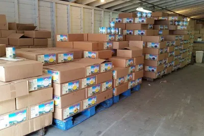 transport palette devis