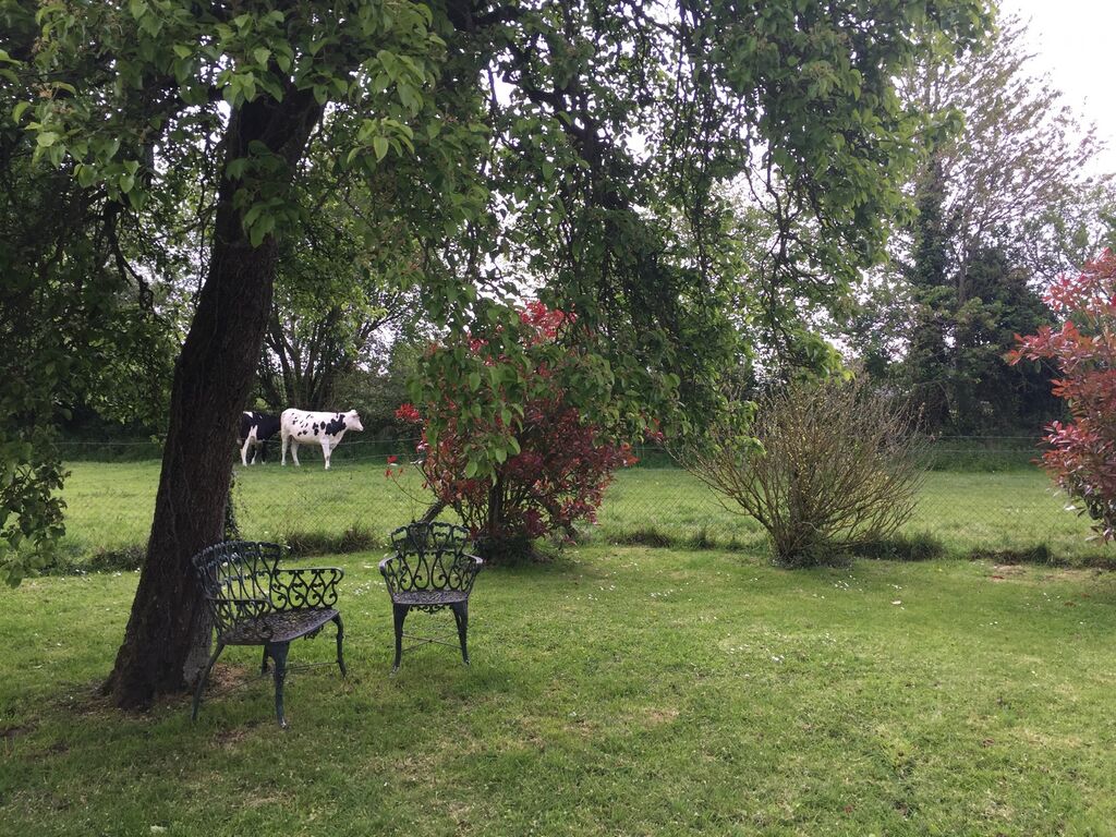 Maison à pans de bois à vendre à Pont-l'Evêque, Calvados 14
