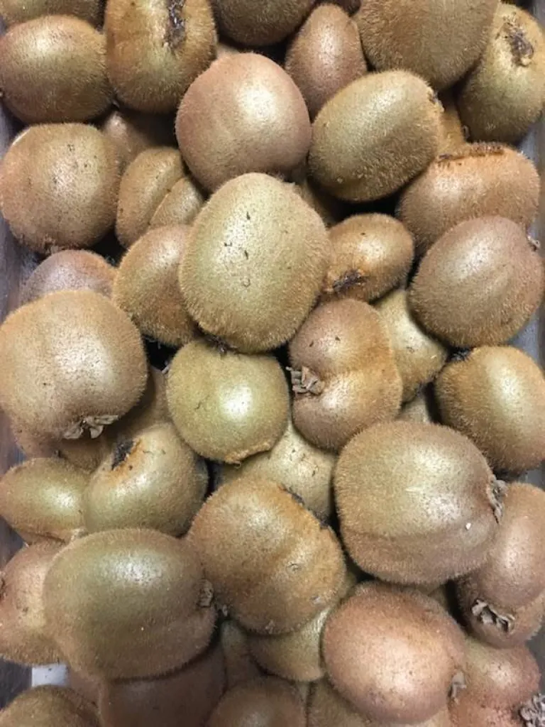 Kiwi green de Provence à retrouver à Ma Ferme proche d'Aix