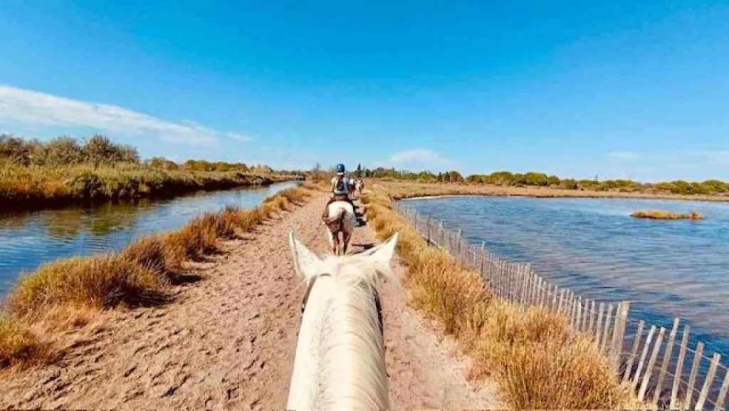 Ranch en Camargue et balades à cheval : El Rancho